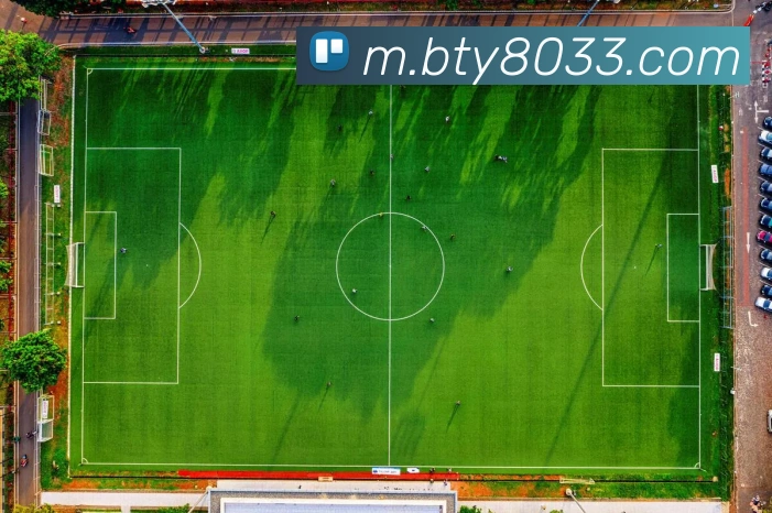 B体育平台生态图